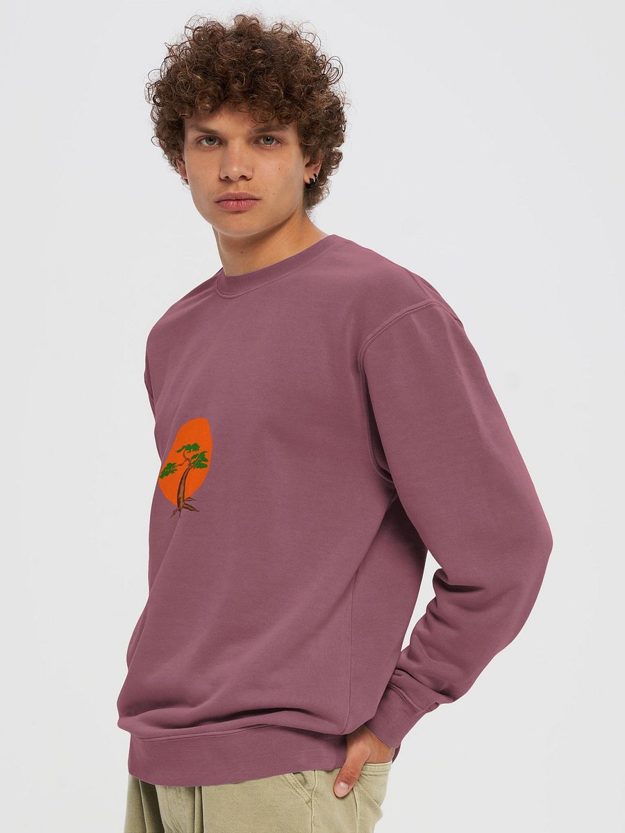 Unique Vintage Pigment Dyed Sweatshirt product image (5)