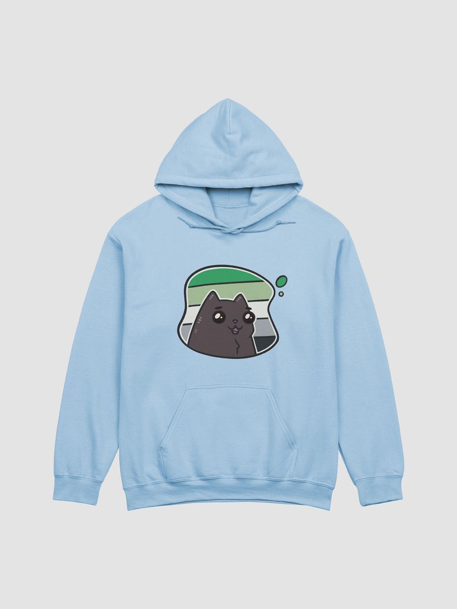 hoodie : void aro product image (38)