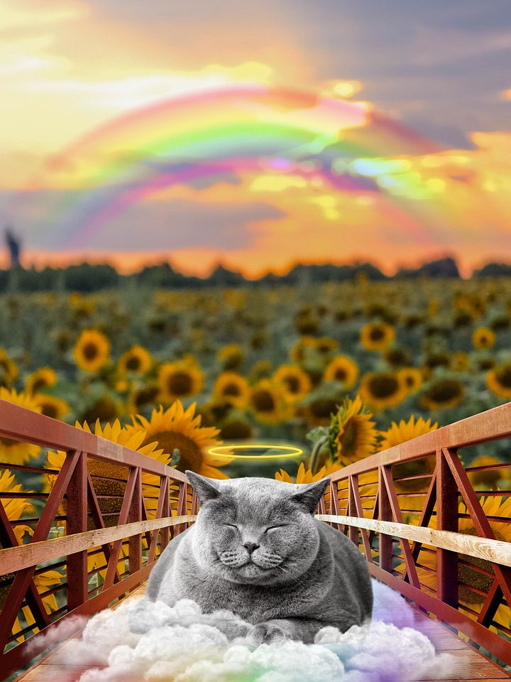 Pet Loss Rainbow Bridge Portrait product image (1)