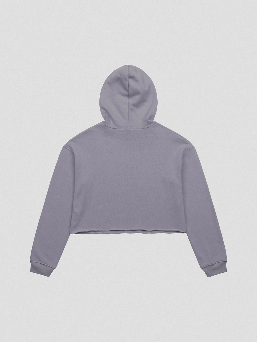 AshSaidHi Cropped Hoodie product image (6)