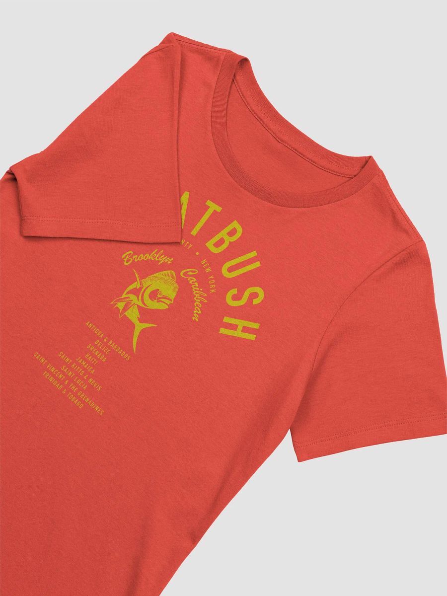 Flatbush Brooklyn Caribbean Ava product image (3)