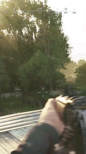 Sometimes lining up that shot is rewarding. 😅 Also, Iron Rpeater Gamer! 

#HuntShowdown #twitchstreamer
