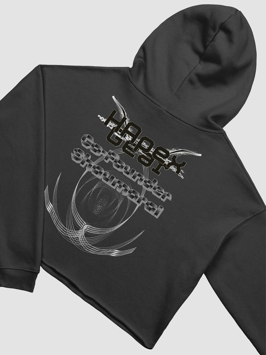 Fleece Crop Hoodie - Co Founder Shaumarai - Black HApex Gear Black Logo product image (4)