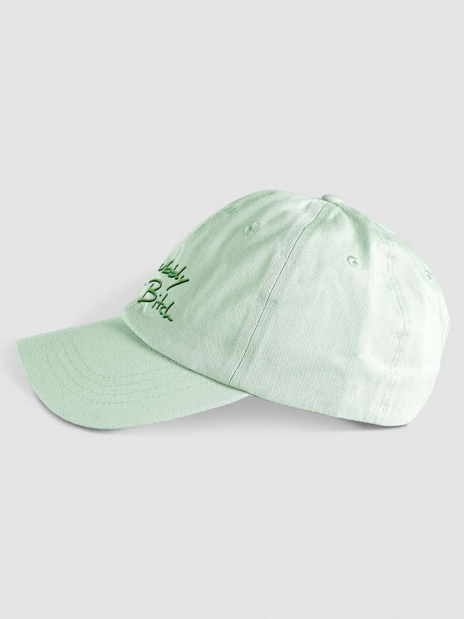 Bubbly and a B*tch shadow design (lime) pastel dad hat product image (11)