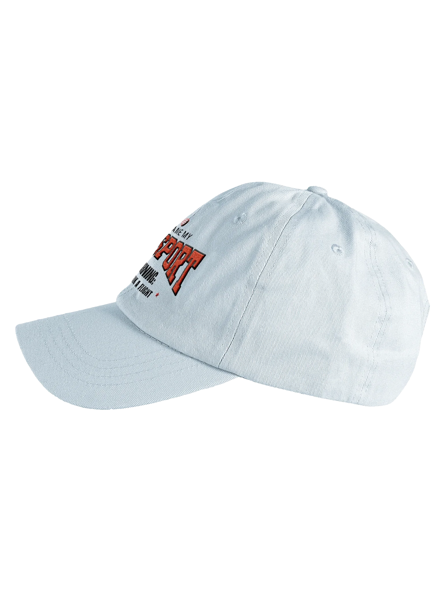 Blame My Passport Dad Hat product image (10)