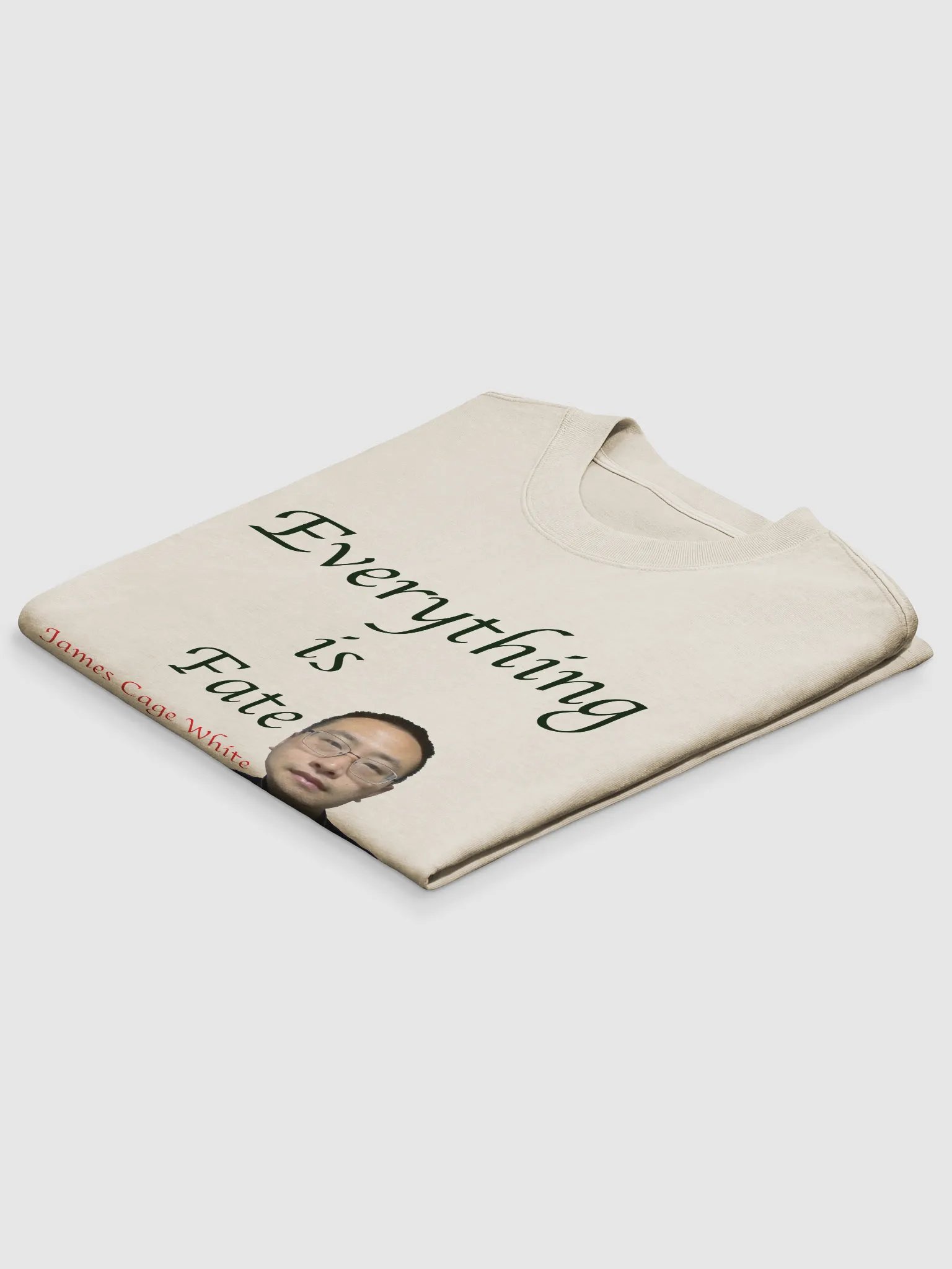 AS Colour Premium Oversized Faded T-Shirt: fate product image (13)