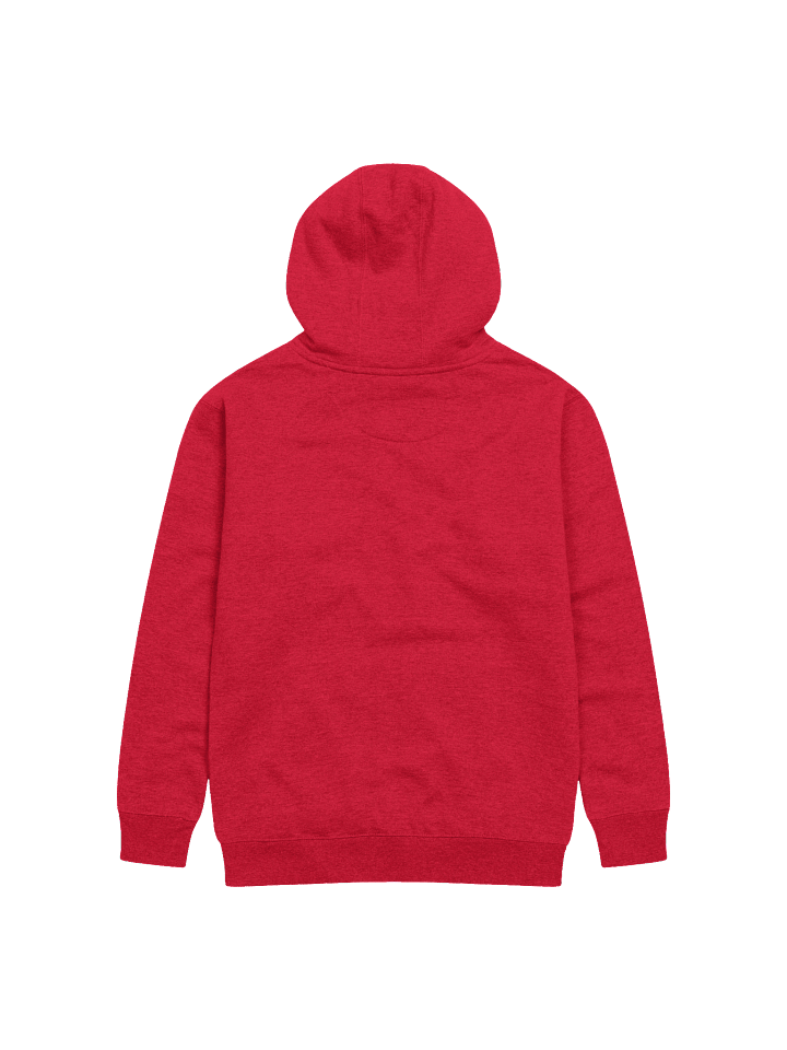 Jam Jamboree embroidered hoodie product image (2)