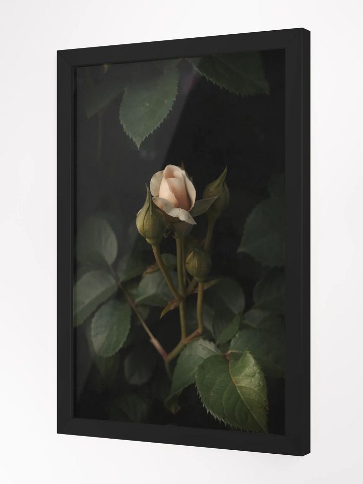 Shrouded Rose product image (3)