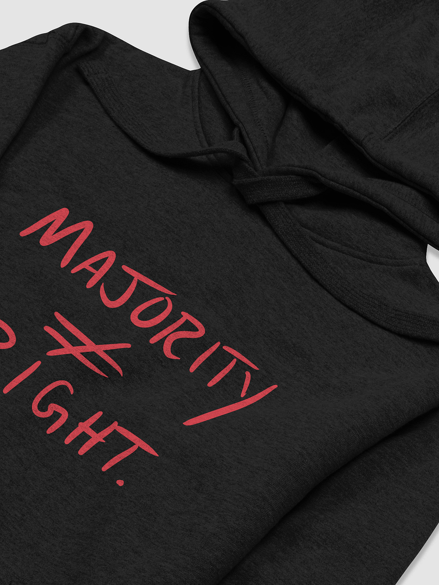 Majority ≠ Right hoodie product image (13)