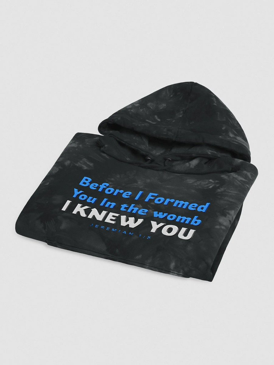Pro-Life Bible Verse Champion Tie-Dye Hoodie product image (4)