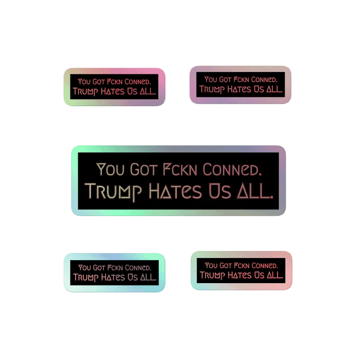 Resistor, You Got Fckn Conned (words only), NSFW Holo Sticker Pack product image (2)