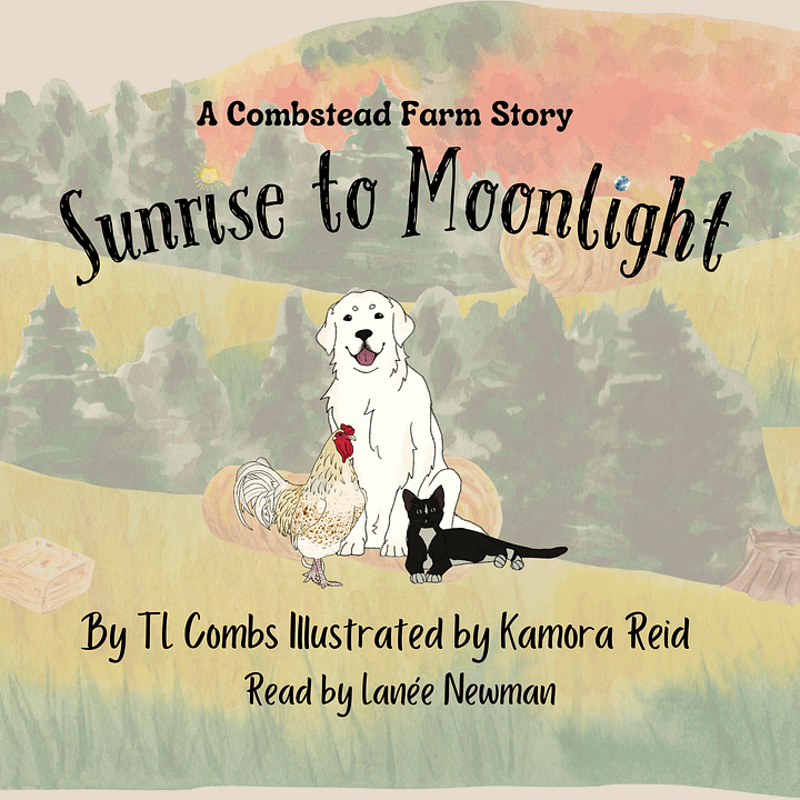 Sunrise to Moonlight Audiobook product image (1)