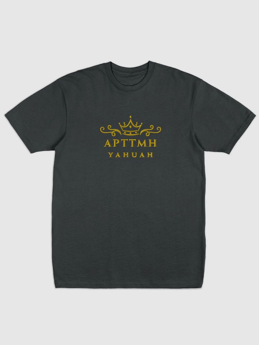 APTTMH Ornate Tee product image (5)