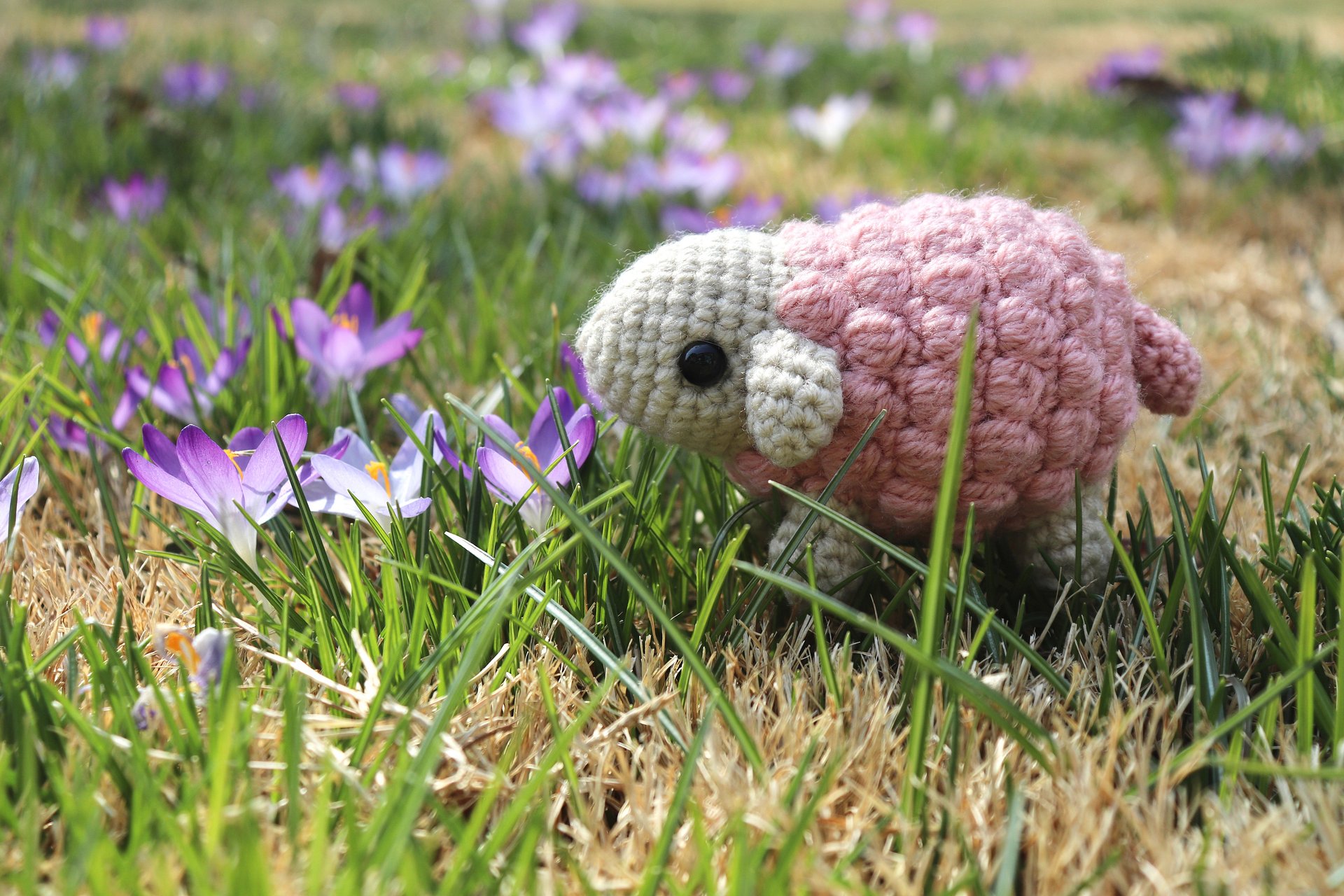 Cheerful Sheep PDF product image (2)