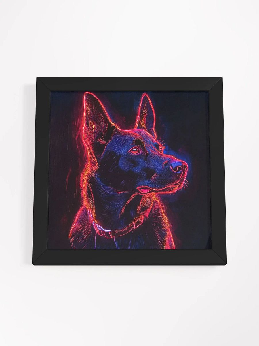 Belgický ovčák Malinois, linie product image (46)