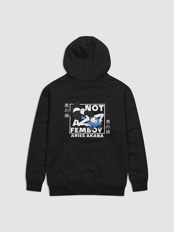 Not-A-Femboy Monochrome Hoodie product image (2)