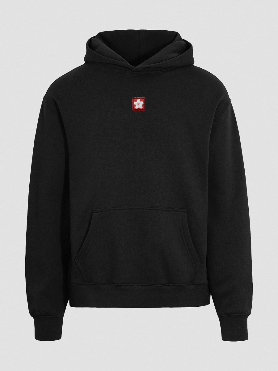 Logo Embroidered Hoodie product image (10)