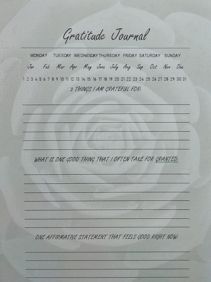40 Day Gratitude Journal product image (1)