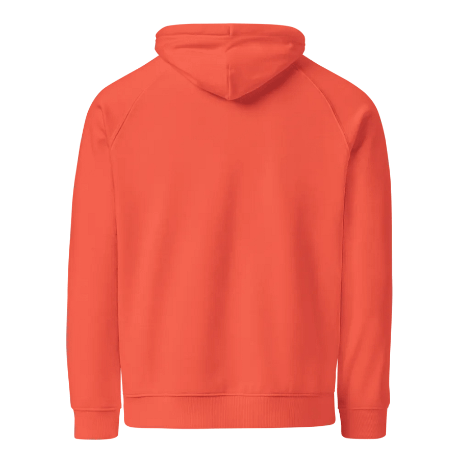 You Are Not Alone Eco Raglan Hoodie product image (4)