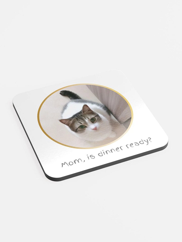 Cute cat asking for food coaster product image (2)