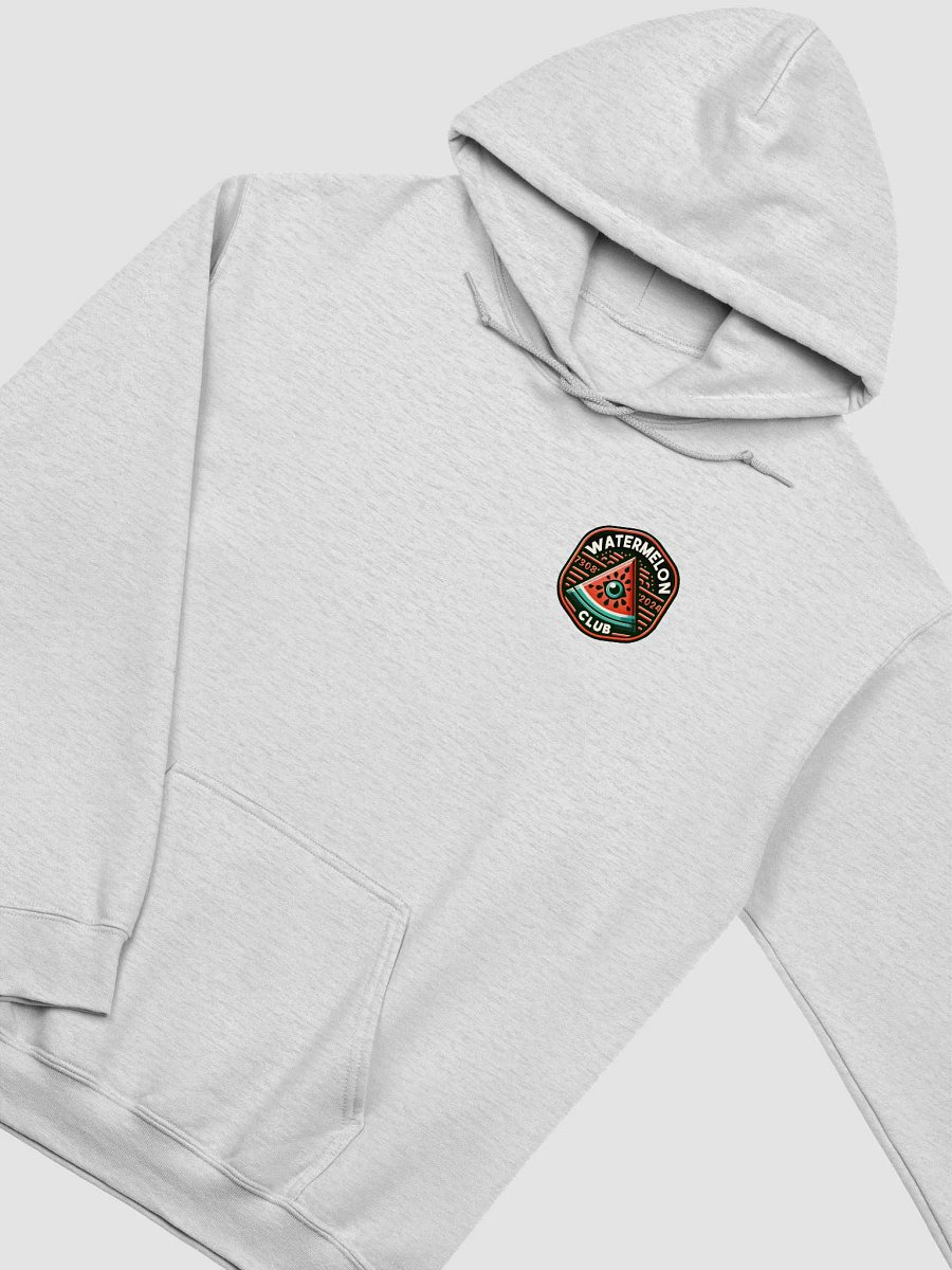 2024 Club Hoodie product image (27)