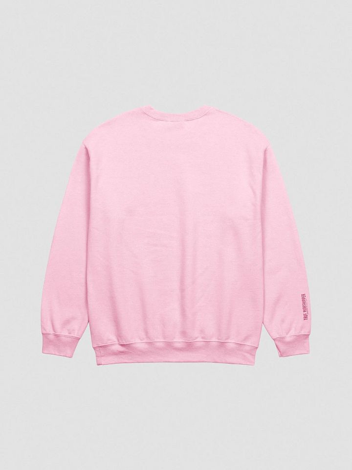 The Unashamed Worshipper Embroidered Sweatshirt- Light Colors product image (5)