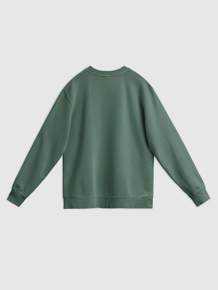Sun Seekers Sweatshirt product image (19)