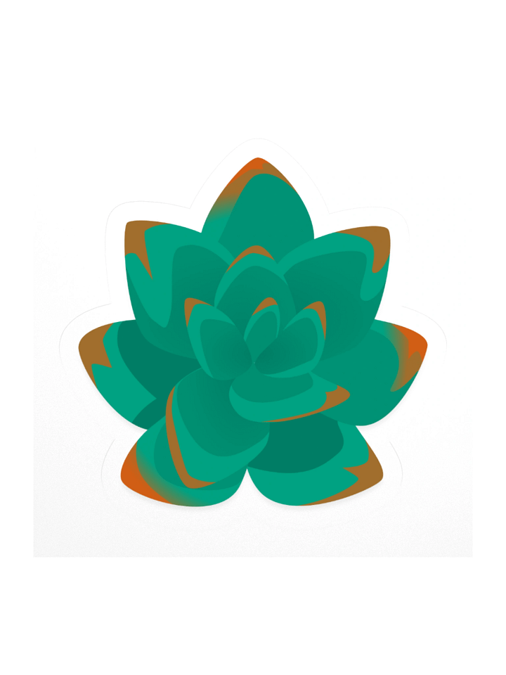 Echeveria product image (1)