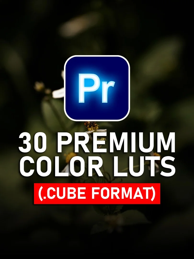 30 Premium Color LUTs (CUBE Format) product image (1)
