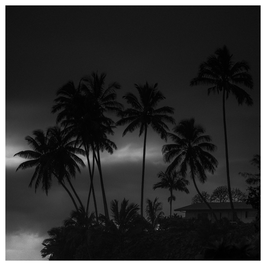 HONOLI'I #01 product image (1)