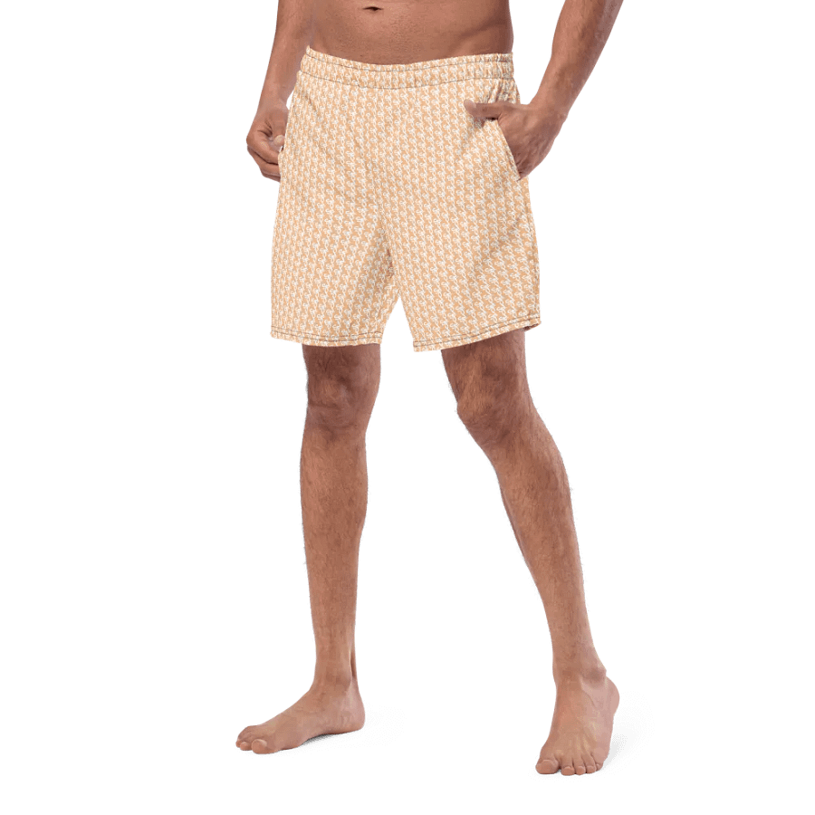 Syn-Stripe Trunks Orange/White product image (5)