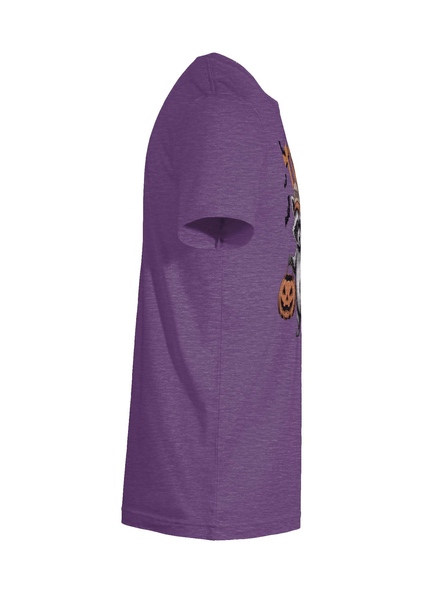 Raccoon Trick or Treat Unisex T-Shirt product image (11)
