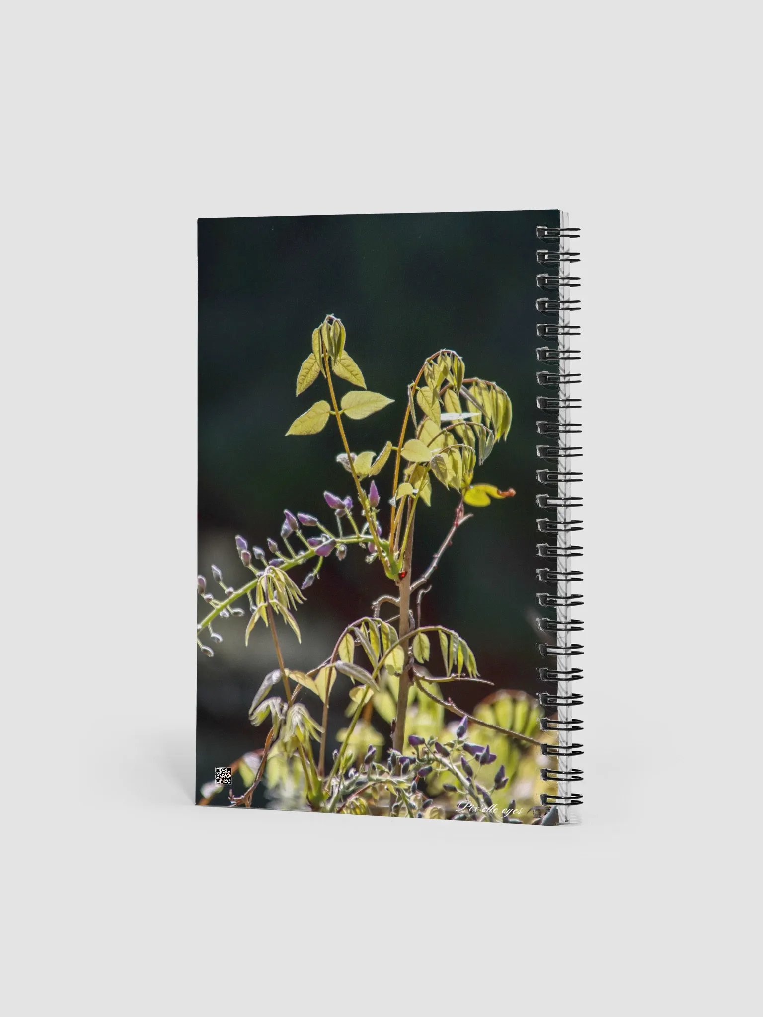 📓 Notebook Collection PURE – Jardin du Rayol – Glycine naissante product image (2)