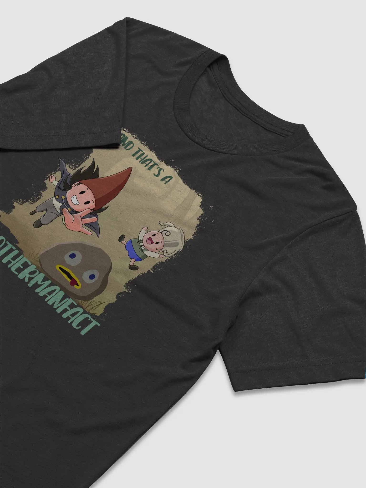 A BrotherFACT! (Triblend T-Shirt) product image (3)