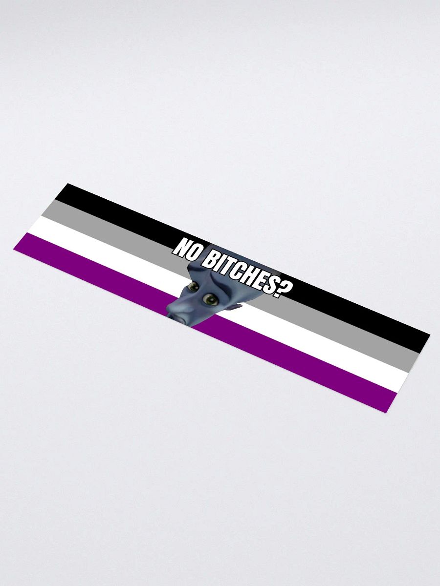 No Bitches? Funny Ace Sticker product image (1)