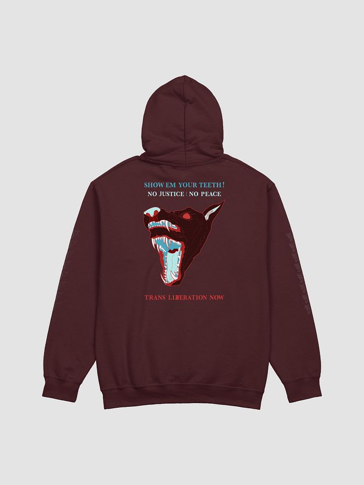 Show Em hoodie 1 product image (2)