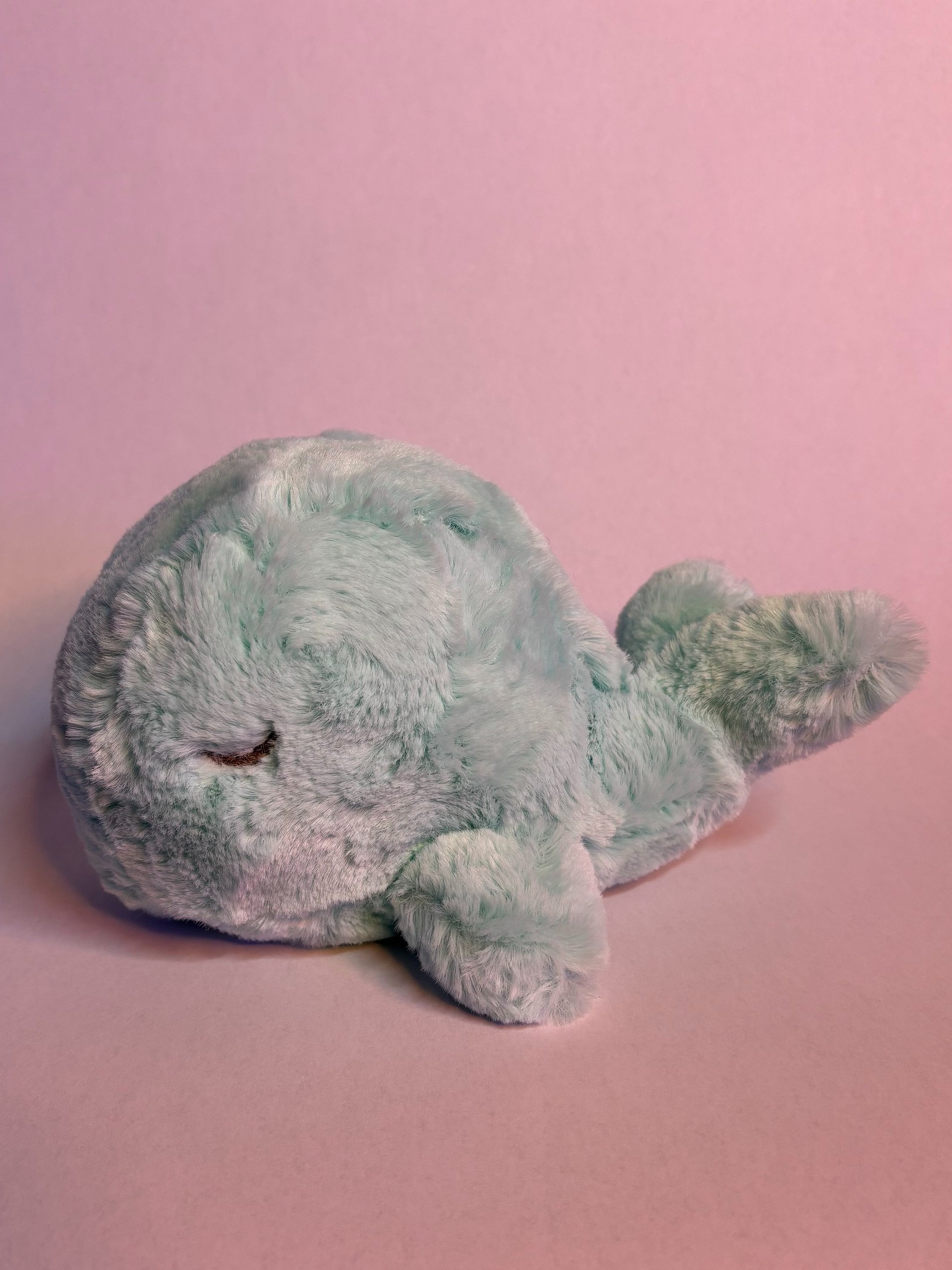 Sleepy Whale product image (3)