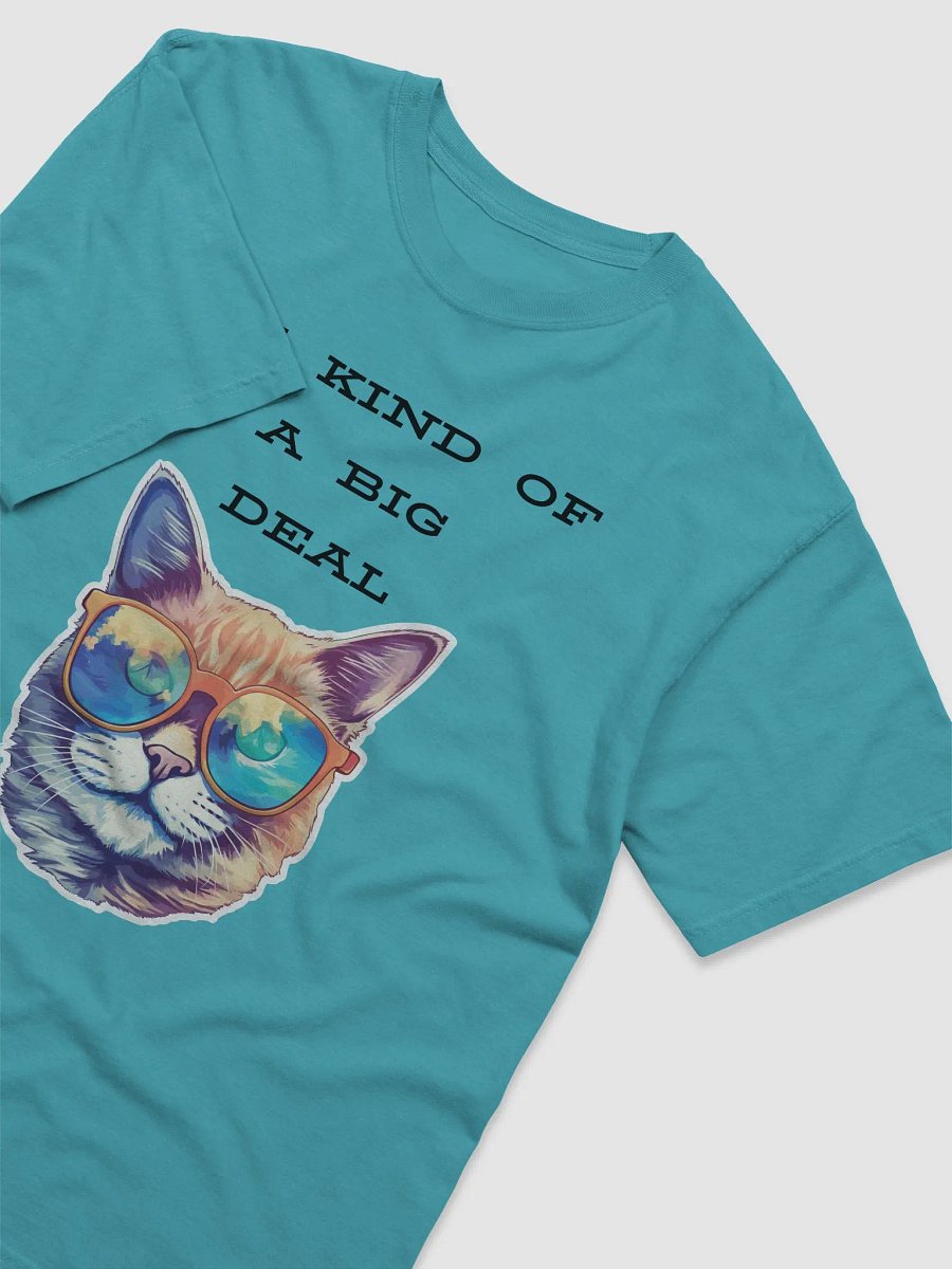 I'm kind of a big deal Heavyweight T-Shirt product image (40)