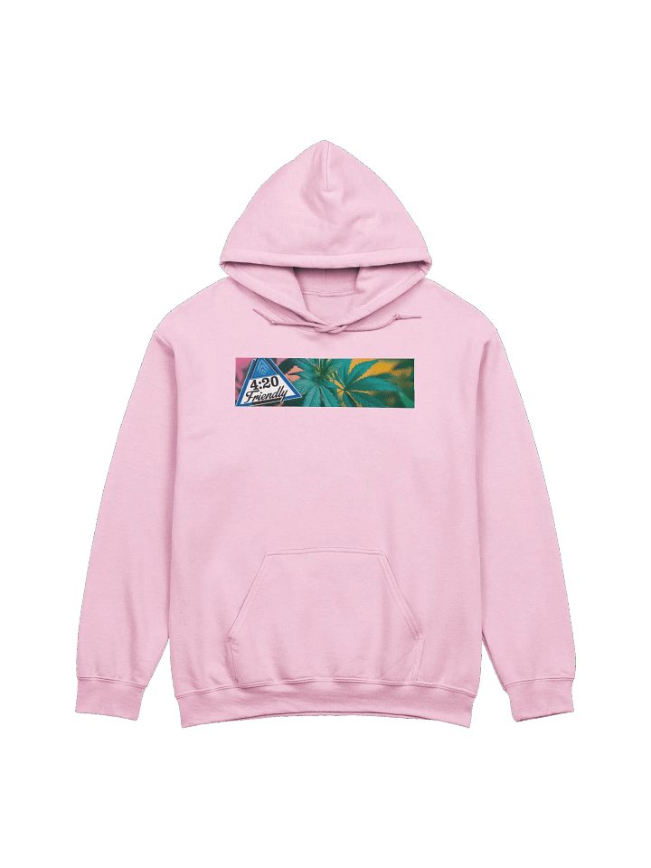 Hoodie product image (1)
