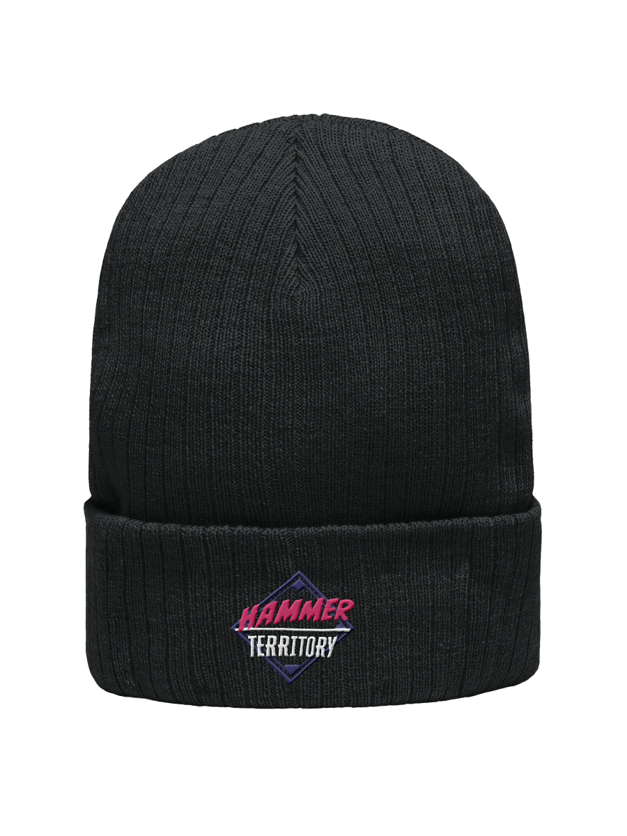 Knit Beanie product image (1)