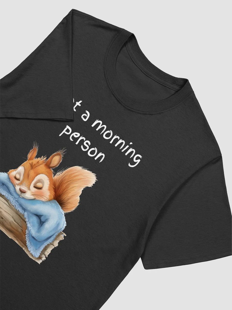 T24007 Not A Morning Person product image (3)