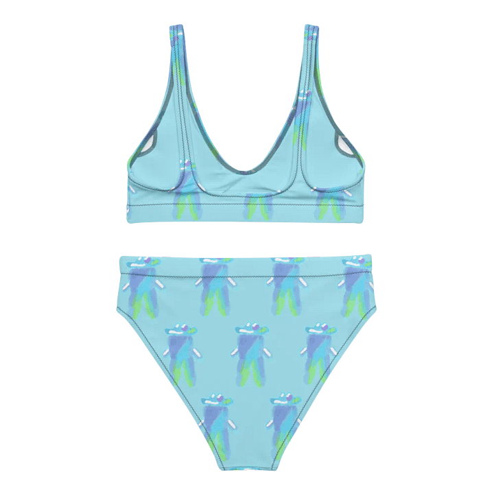 Bubble Buddy Bikini set product image (1)