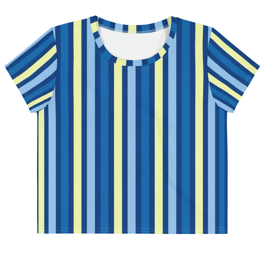 Blue Stripe Crop Top product image (1)