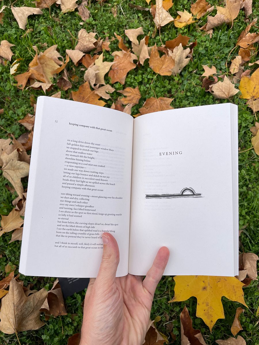 Snowmelt to Roots (poetry book) product image (3)