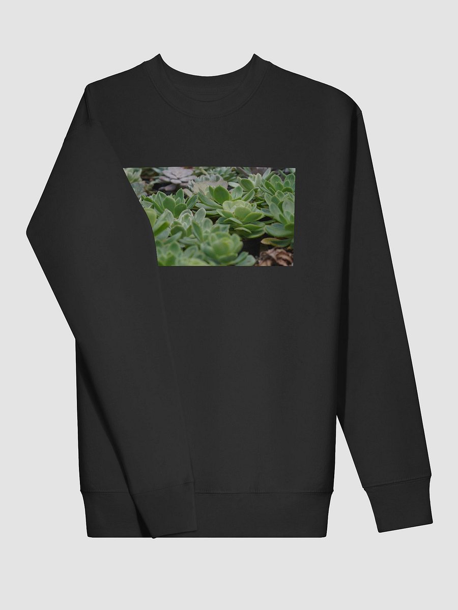 Verdant Oasis Cotton Sweatshirt product image (3)