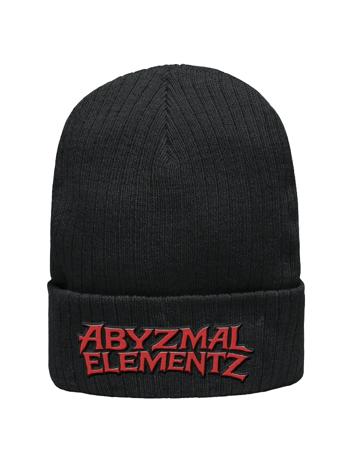 AE Logo Beanie product image (1)