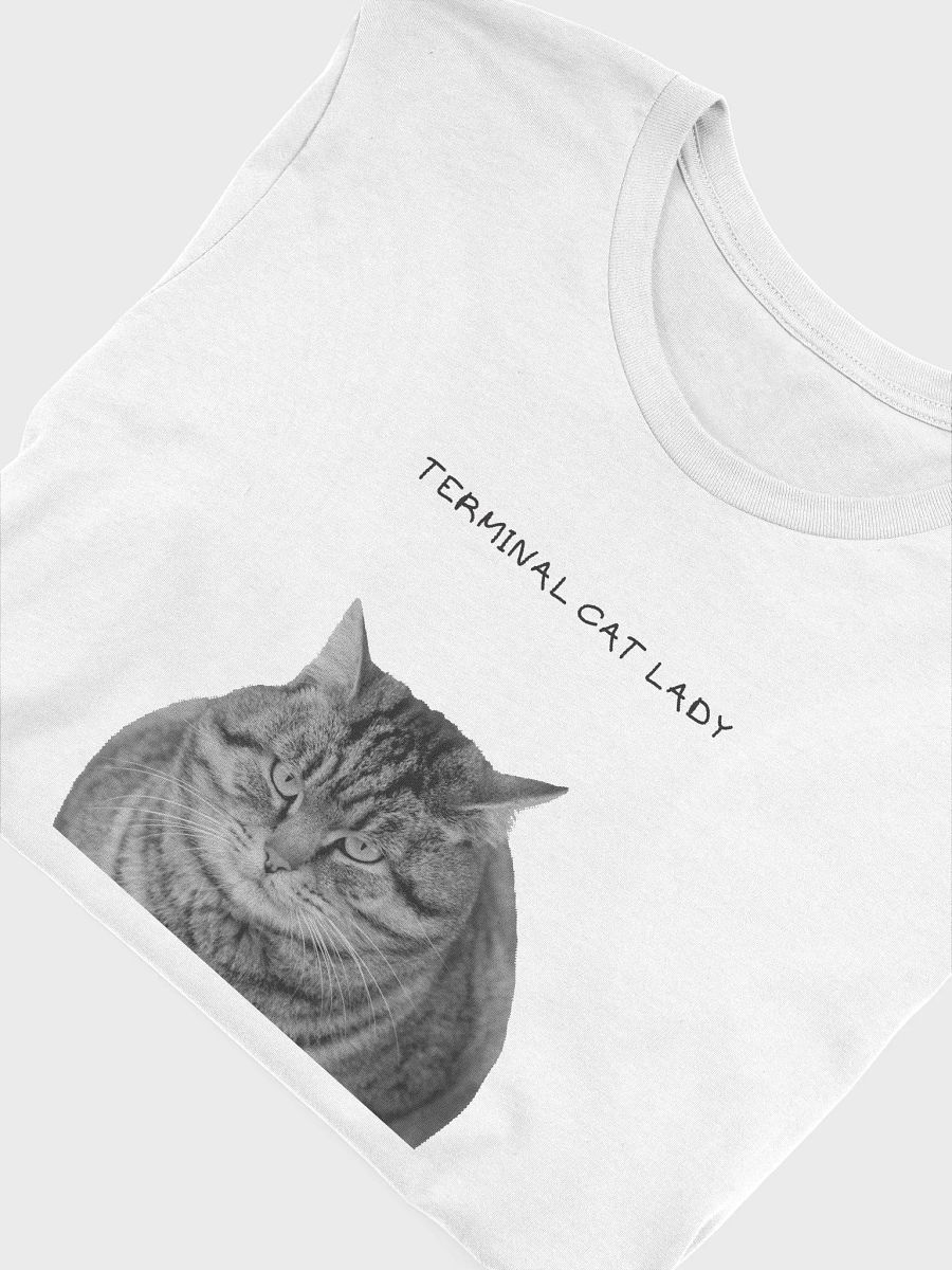 Terminal Cat Lady product image (5)