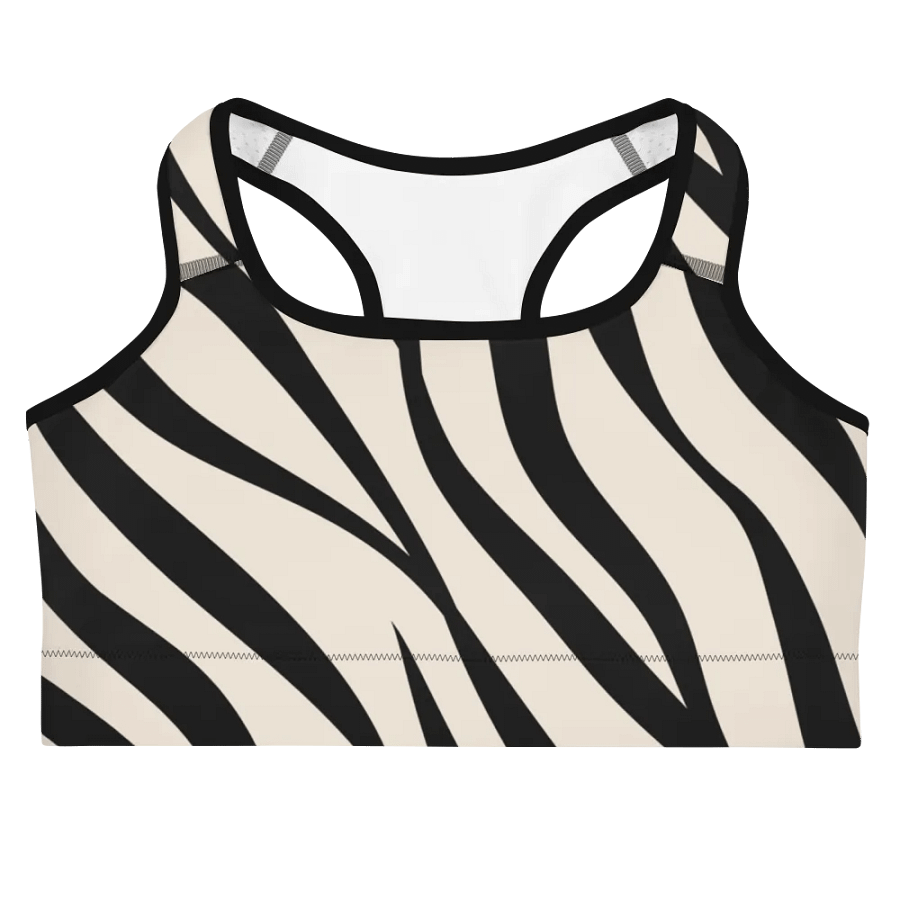 Tizzy Sports Bra product image (11)