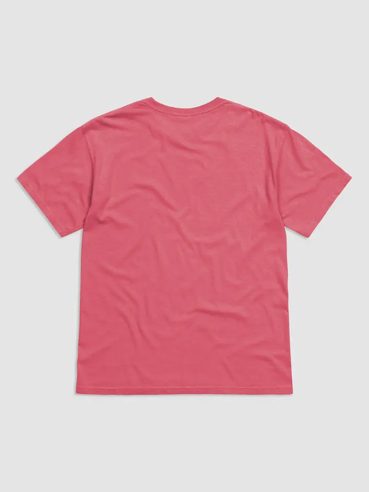 CS HeavyBlend Colorful T Shirt product image (66)