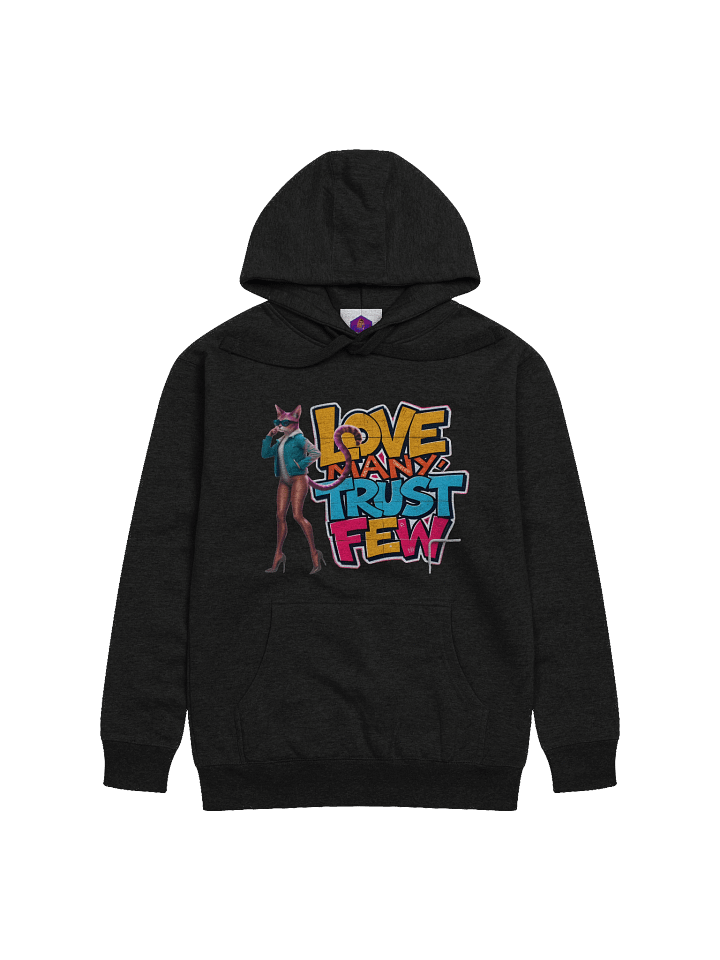 RayElle Distribution Unisex Premium Hoodie product image (1)